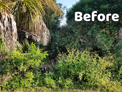 Heavy Bush Hogging — project image 1