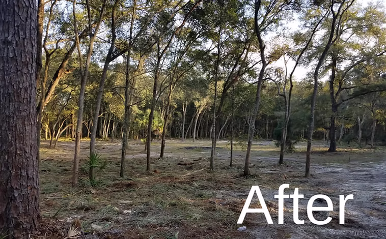 Heavy Bush Hogging — project image 2