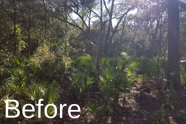 Heavy Bush Hogging — project image 3
