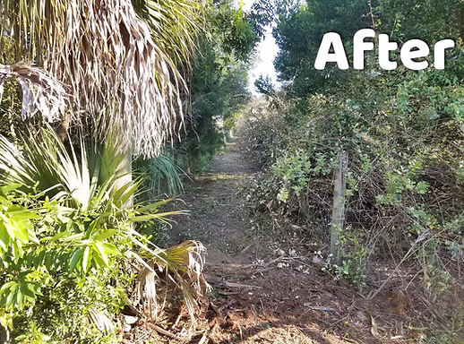 Heavy Bush Hogging — project image 4