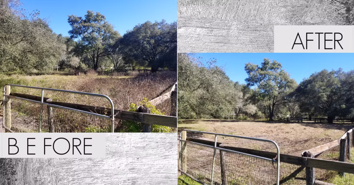Pasture Development & Services — project image 1